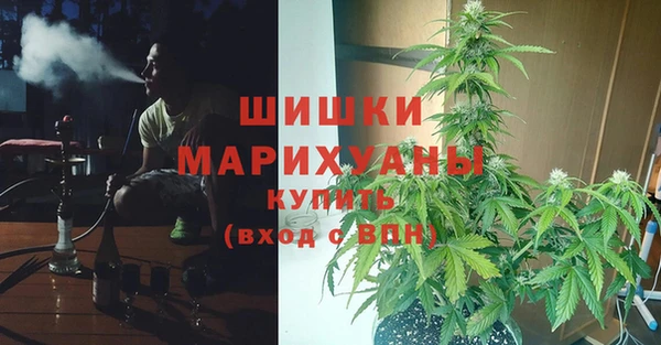 2c-b Ветлуга