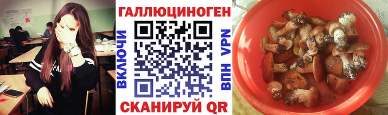 Псилоцибиновые грибы ЛСД наркошоп Ковылкино