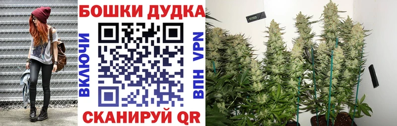 Бошки марихуана ГИДРОПОН Ковылкино